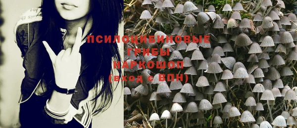 ГАЛЛЮЦИНОГЕННЫЕ ГРИБЫ Медногорск