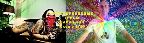 дживик Мегион