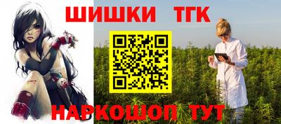 Альфа ПВП Дубна