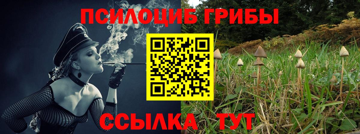 Псилоцибиновые грибы Magic Shrooms  Вход с VPN  Холмск  Псилоцибиновые грибы MAGIC MUSHROOMS 